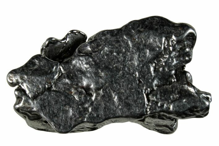 Campo del Cielo Iron Meteorite ( g) - Argentina #262942